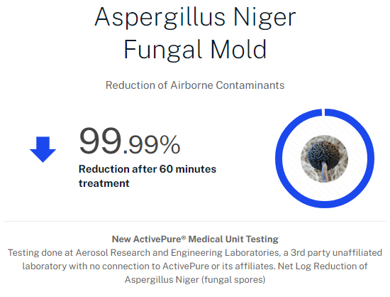 Aspergillus Niger