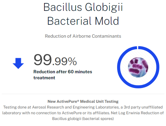 Bacillus Globigii